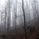 večina dneva v tem temačnem vzdušju