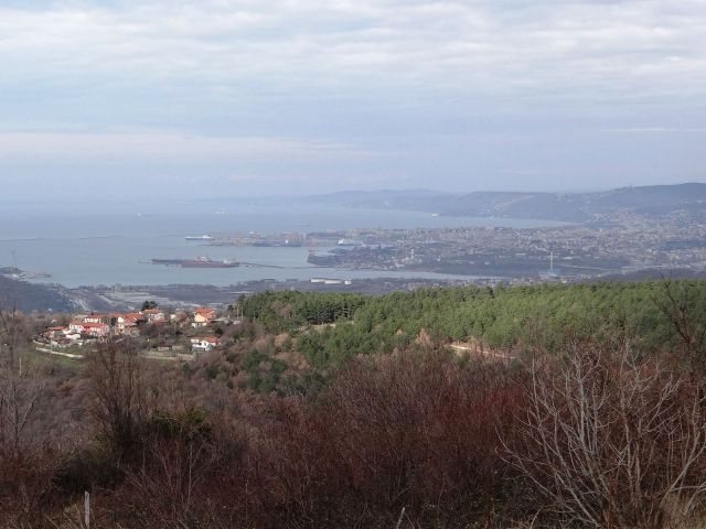 Tržaški zaliv s tinjana