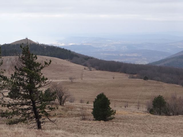 Pogled proti morju