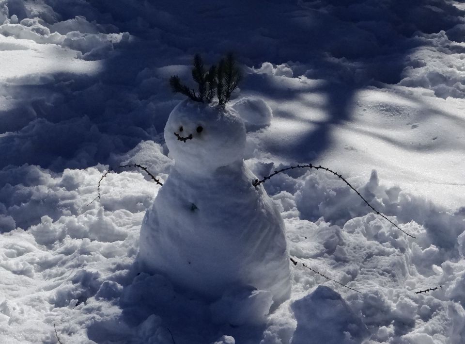 snežak s frizurco