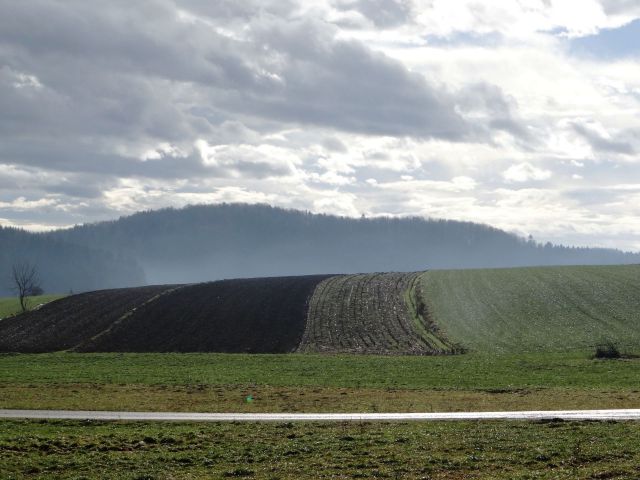 Dolenjski krog št.3-9.2.2014 - foto