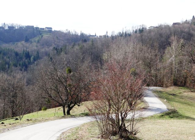 Boštanj-Šentjanž-1.3.2014 - foto