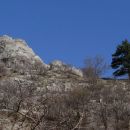 skala in bor nad kanjonom glinščice