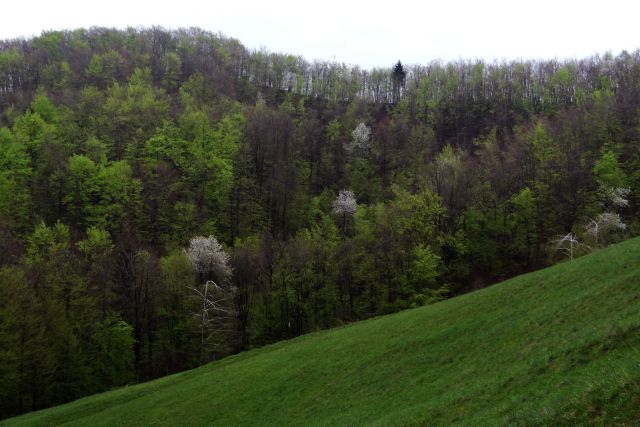 Boštanj-Mokronog-6.4.2014 - foto