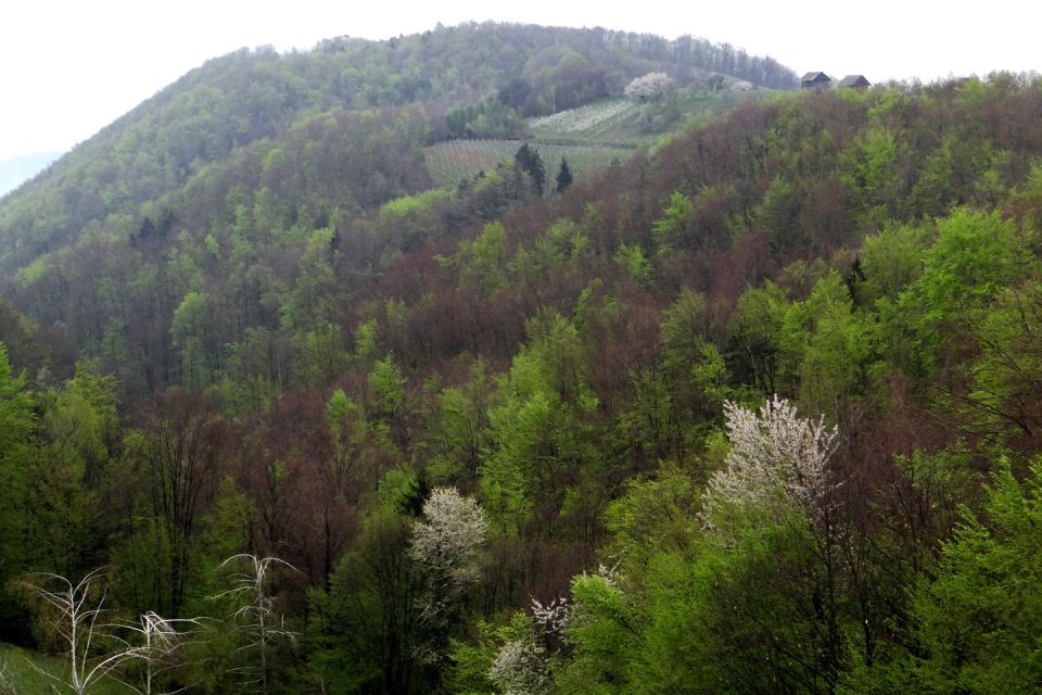 Boštanj-Mokronog-6.4.2014 - foto povečava