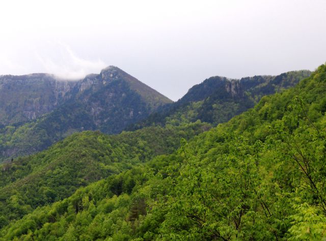 Pogled na krempo in krokarja