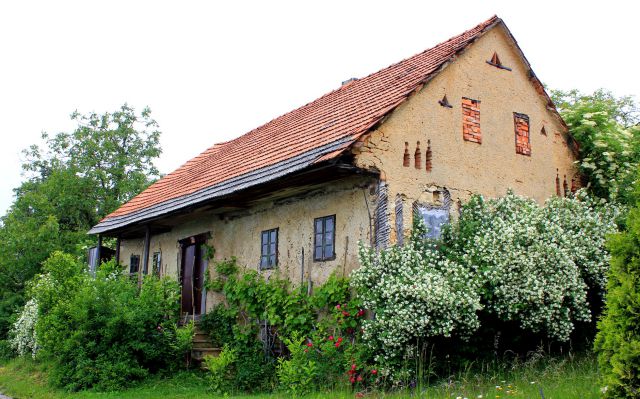 Stara, propadajoča hiška, obdana s cvetočim jasminom