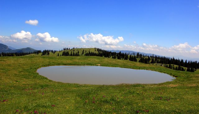 Velika planina-6.6.2014 - foto