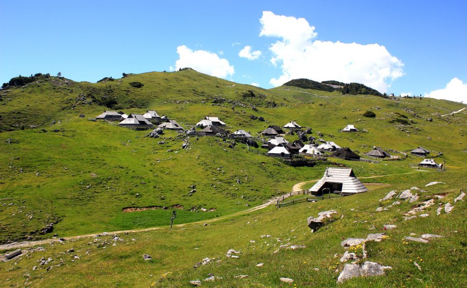 Velika planina-6.6.2014 - foto povečava