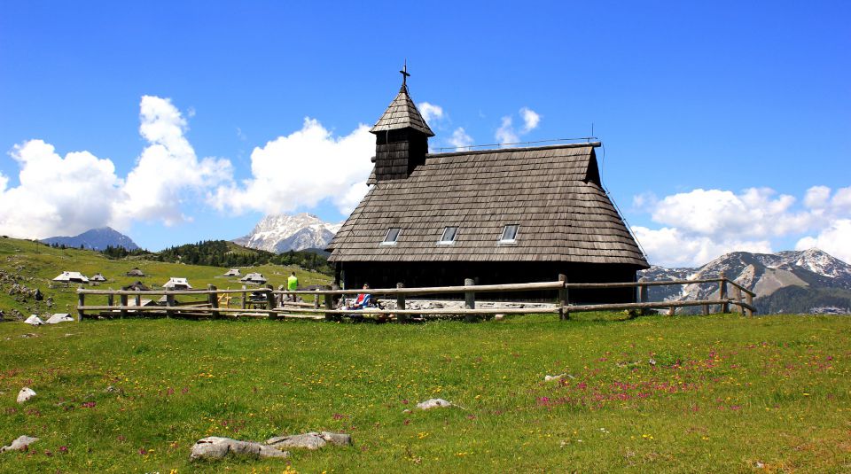 Velika planina-6.6.2014 - foto povečava