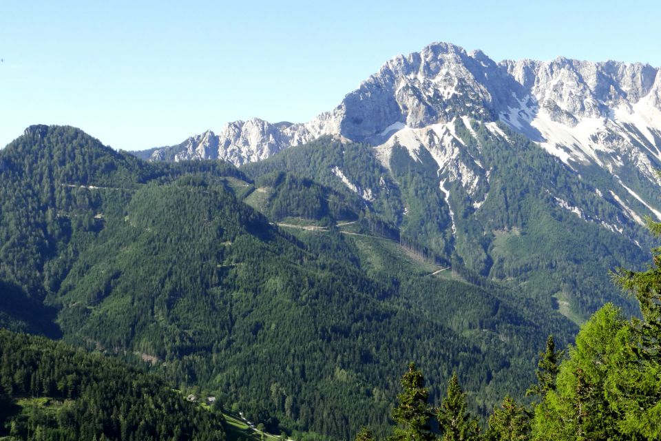 tolsta košuta in videti je,da visoko pod njo pripelje gozdna cesta