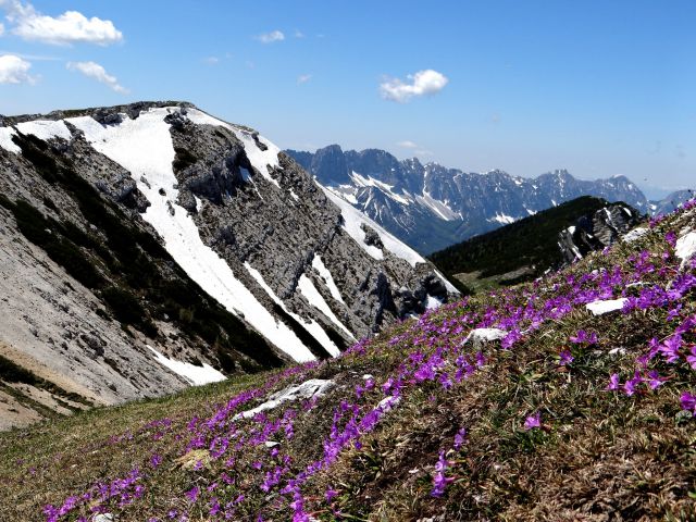 Hoja proti vrhu traja in traja, saj ne moreš kar mimo cvetnih poljan...