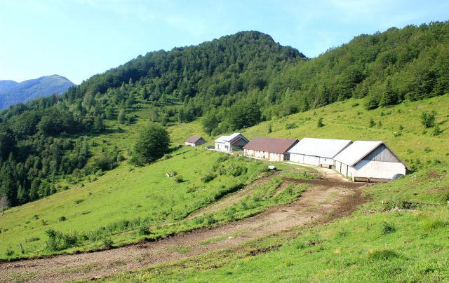 Pogled nazaj na planino podkuk