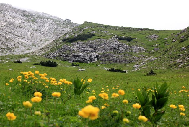 Na skalnem robu se vidi bivak, blizu njega je večji vojaški bunker iz 1. sv. vojne