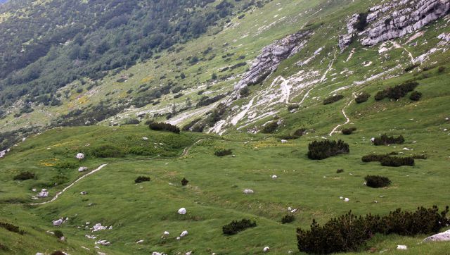 Pogled navzdol na lepo speljano stezico