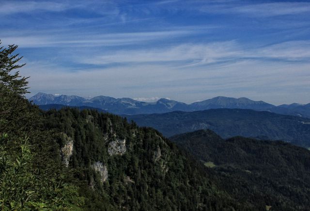 Pogled na levo, kjer se vidi kepa