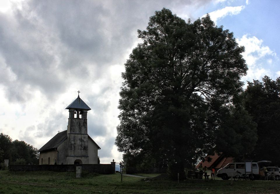 ... pri cerkvi sv. nikolaja na Vidmu (med knežjo lipo in čepljami)