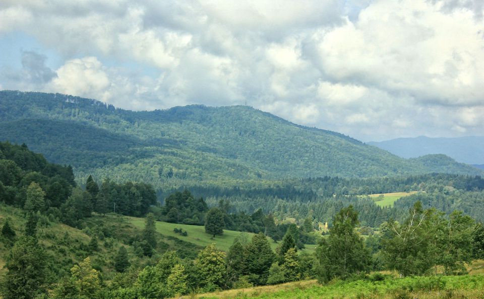 razgled proti verdrenški gori