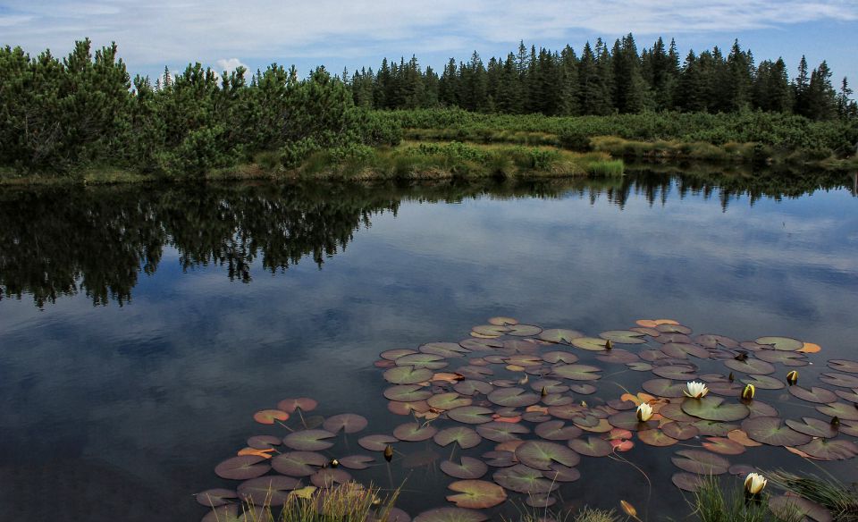 Lovrenška jezera-3.8.2014 - foto povečava