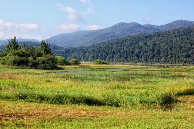 Cerkniško jezero-4.8.2014 - foto