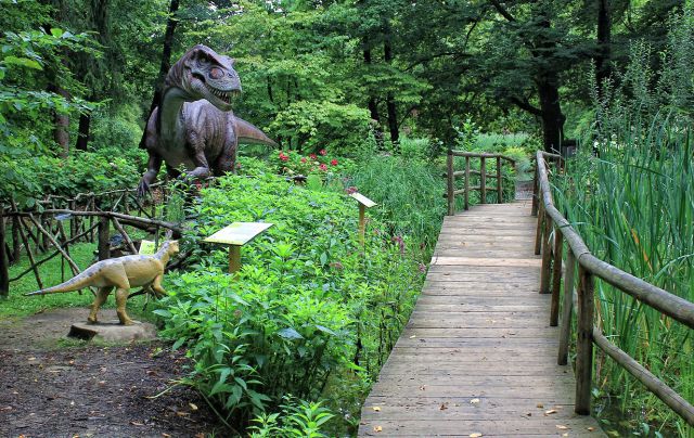 Arboretum Volčji potok-5.8.2014 - foto