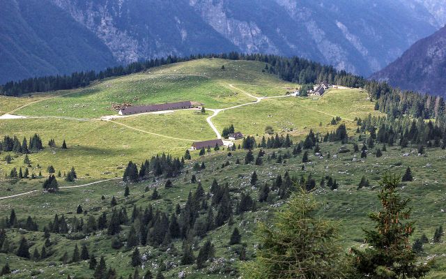 Planina Pecol-11.8.2014 - foto