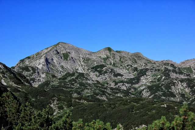 Rodica-17.8.2014 - foto