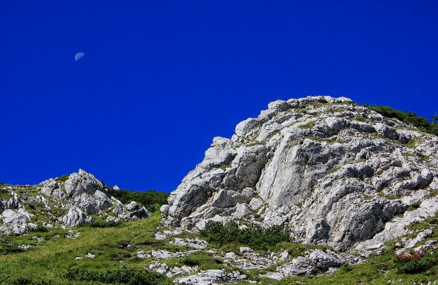 Rodica-17.8.2014 - foto