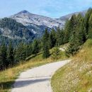 cesta na planino krni dol, v ozadju vrh grubje