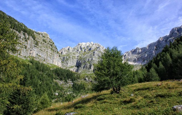 Travne planjave nad planino krni dol (cregnedul)