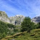 travne planjave nad planino krni dol (cregnedul)