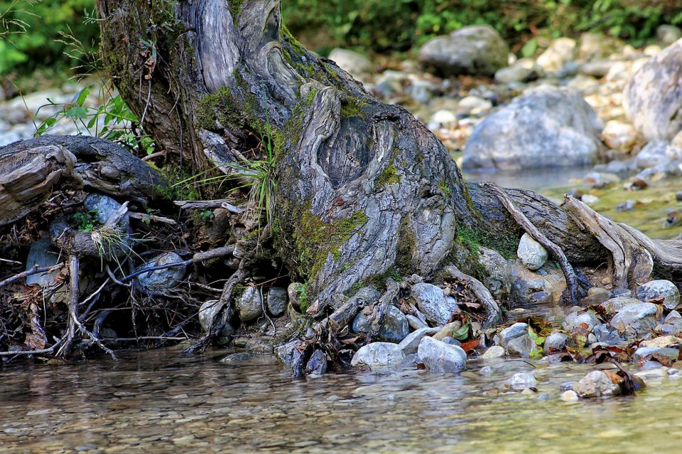 Iški vintgar - 9.9.2014 - foto povečava