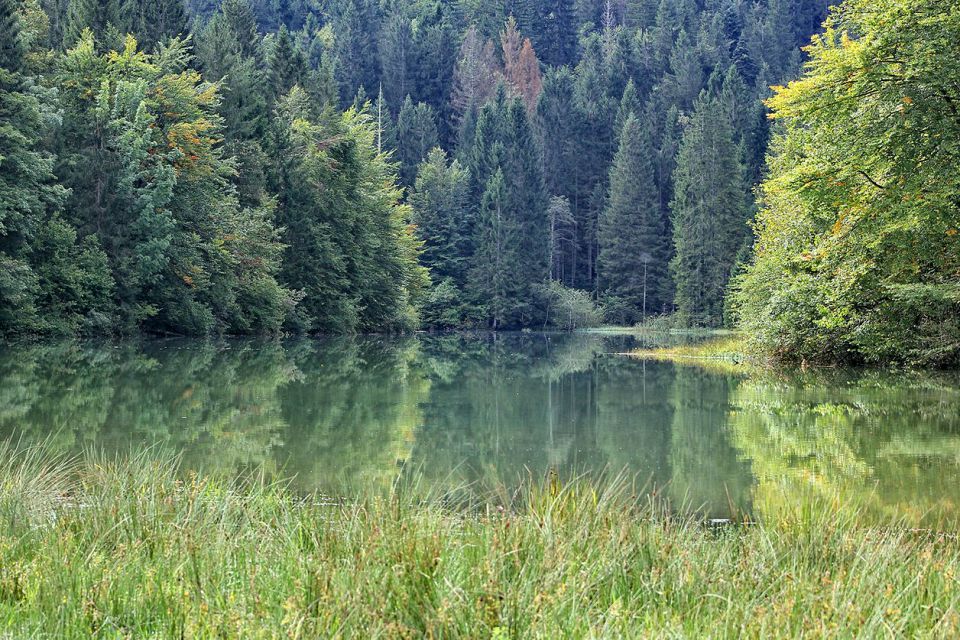 Reško jezero - 14.9.2014 - foto povečava