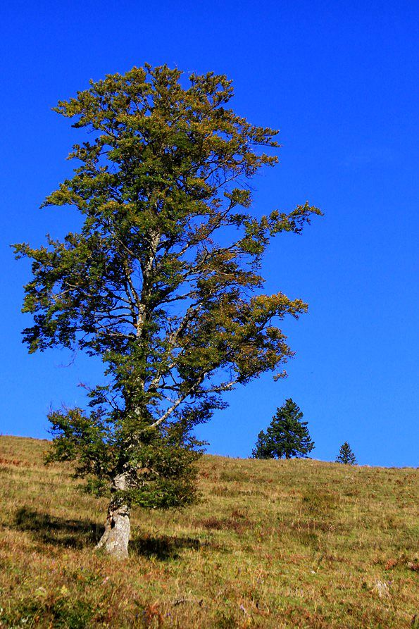 Okoli Velike planine-21.9.2014 - foto povečava