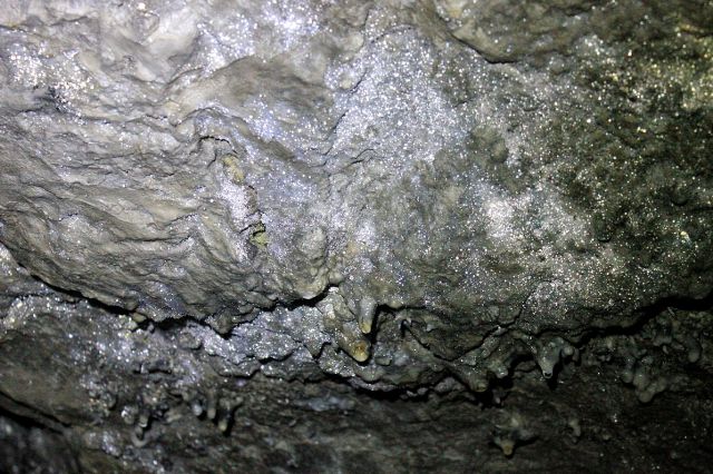 Strop v jami se blešči, verjetno neke vrste bakterij na kamnu