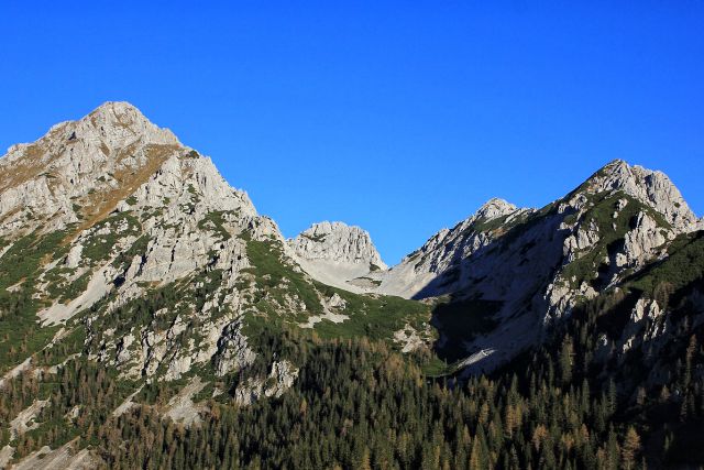 Vrtača, zelenjak, palec