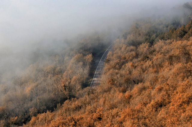 Cesta se prikaže iz megle