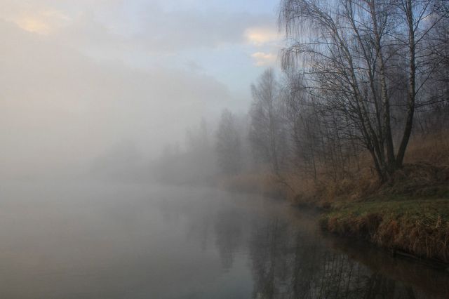 Kočevska - 21.12.2014 - foto
