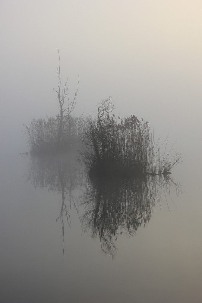 Kočevska - 21.12.2014 - foto povečava