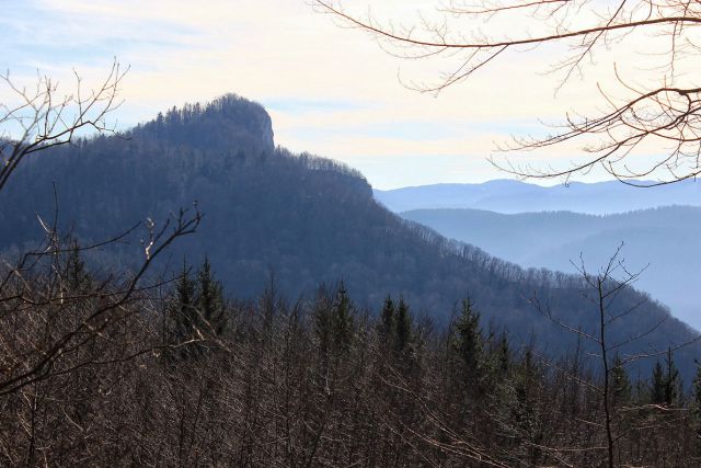 Pogled na kuželjsko steno z grebena nad d. brigo