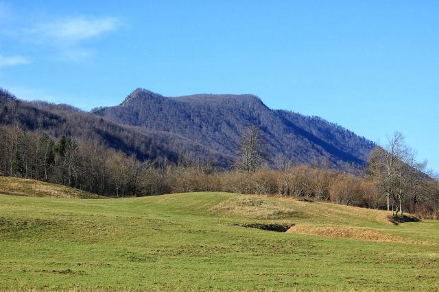 Pogled na borovško goro z vršičkoma krokarja in cerka iz briške doline