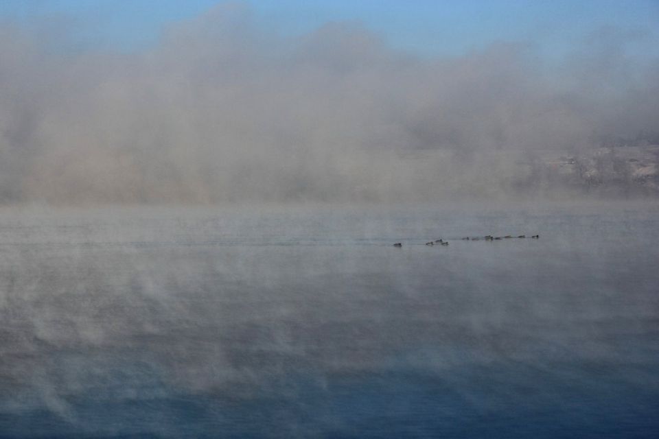 Kočevsko jezero - 30.12.2014 - foto povečava