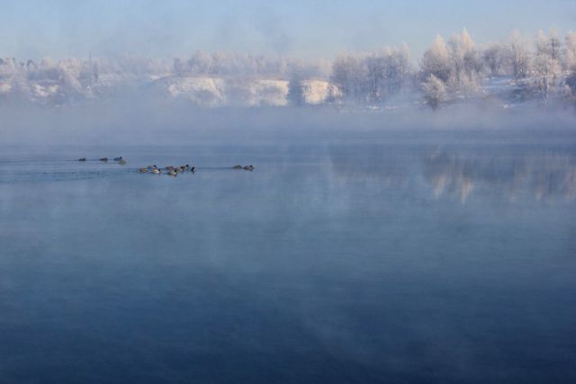 Kočevsko jezero - 30.12.2014 - foto