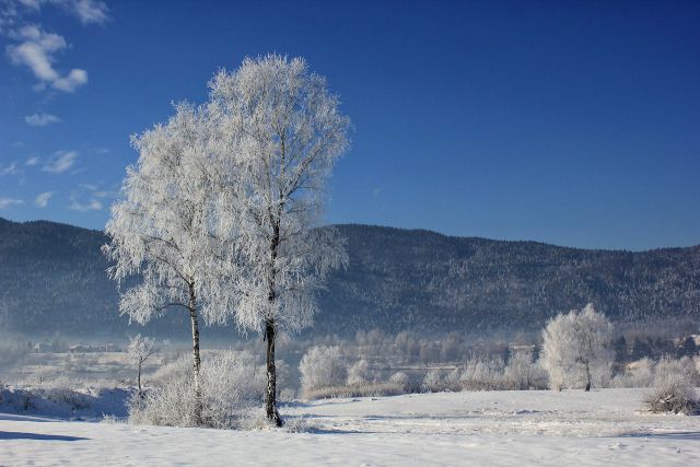 Kočevsko jezero - 30.12.2014 - foto