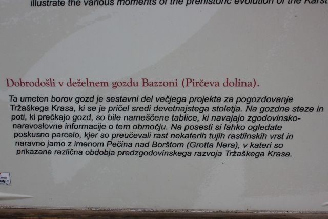 Tržaški kras 3. – 25.1.2015 - foto