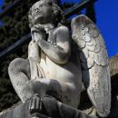 prijazni angel...