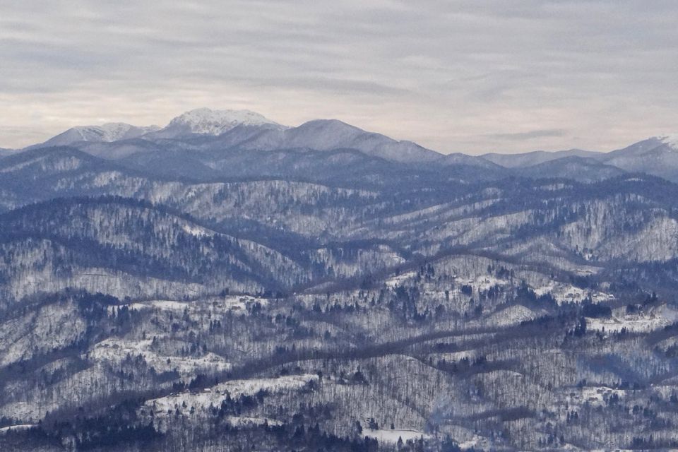 risnjak s ceste borovec-osilnica