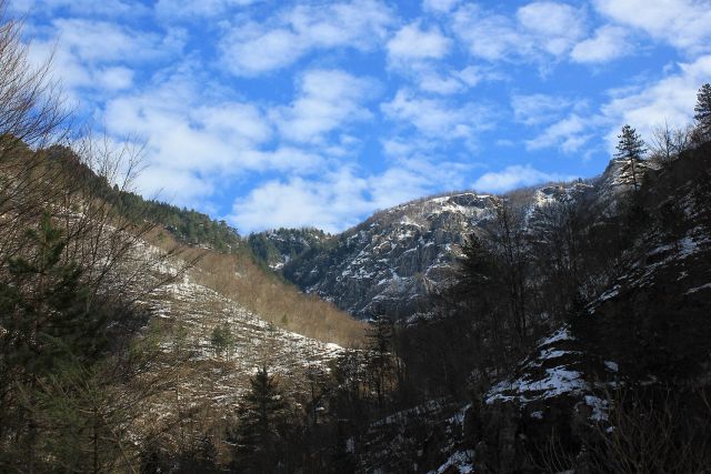 Zgornja Kolpska dolina–15.2.2015 - foto
