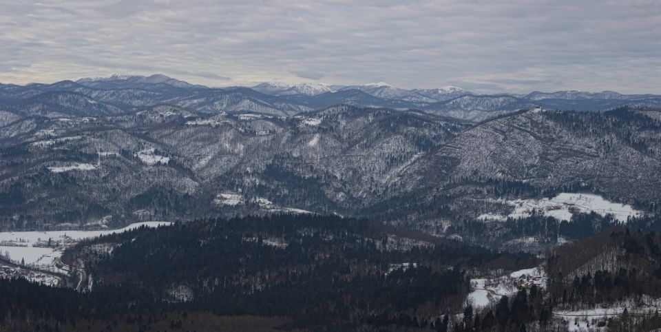 Zgornja Kolpska dolina–15.2.2015 - foto povečava