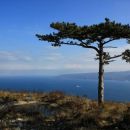 bor, vodno zajetje in spodaj trajekt Porozine (Cres) - Brestova